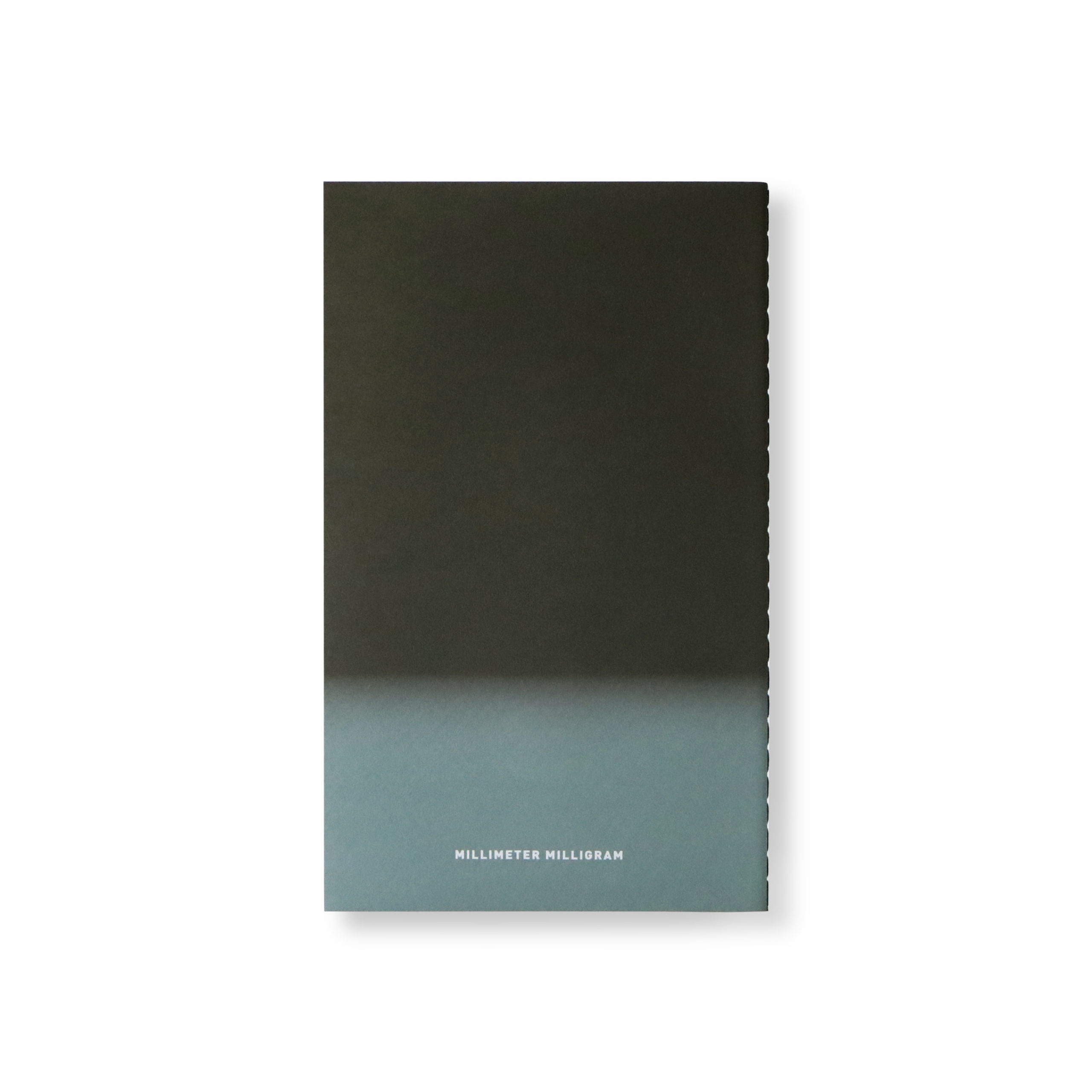 HORIZON M take 2 - Image 2