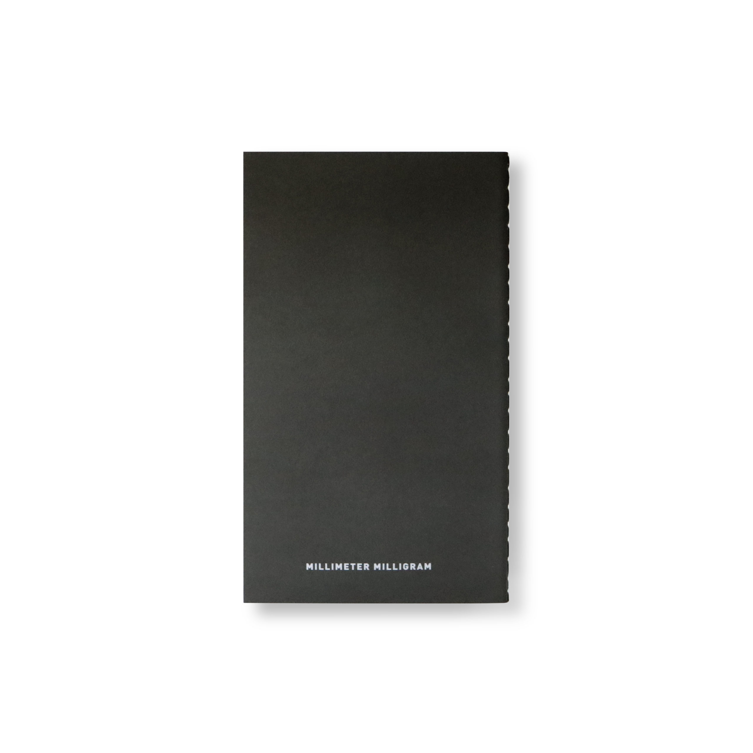 HORIZON S take 1 - Image 2