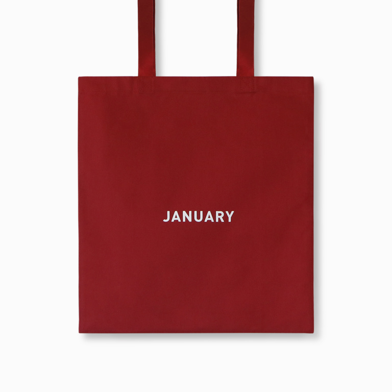 MONTHLY BAG JANUARY F