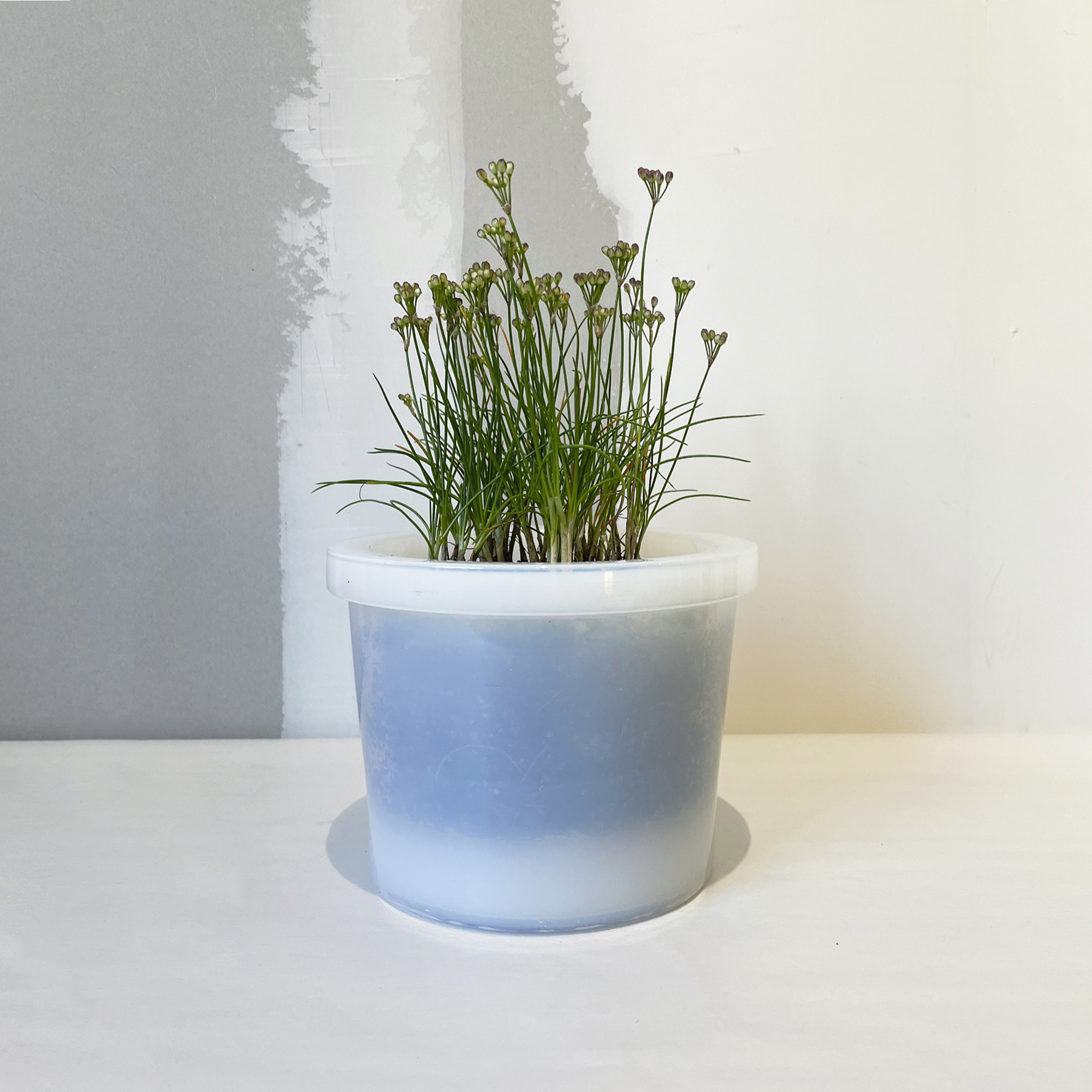 GLASS POT milk 12 - Image 5